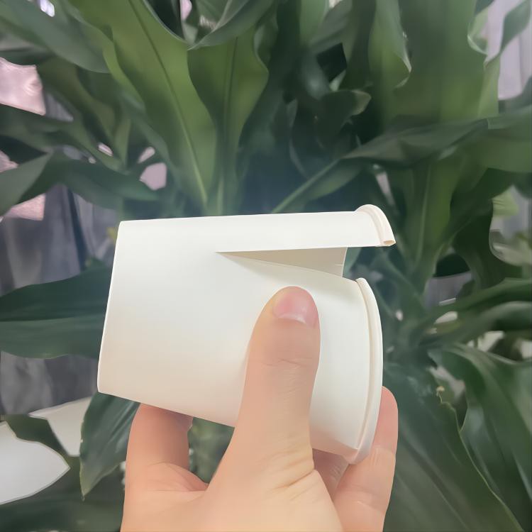 single wall white cups single wall white cups